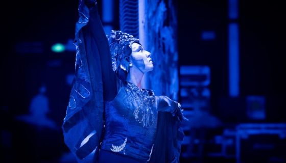 Балет «Лебединое озеро»