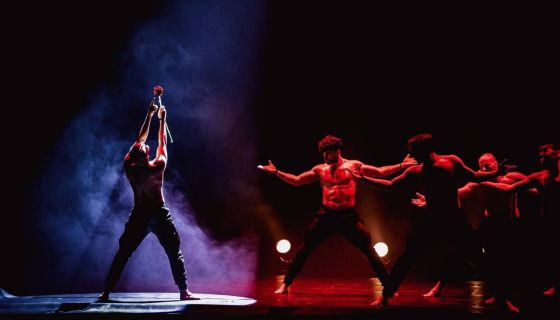 Шоу под дождём V. Признание в любви, Ковров