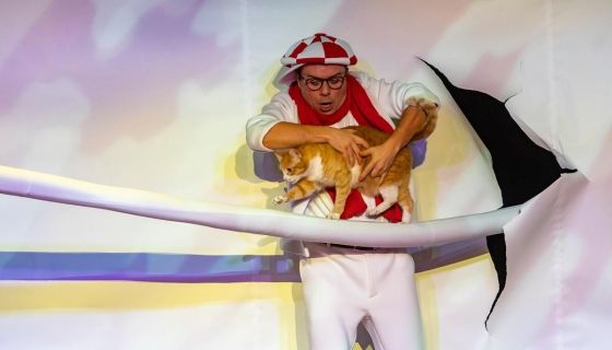 Дмитрий Куклачёв. Котобум, Ковров