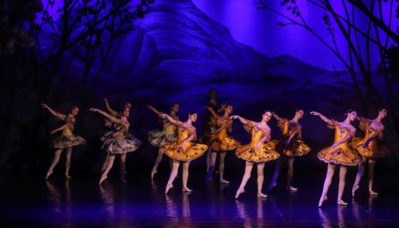 Балет «Спящая красавица», Муром