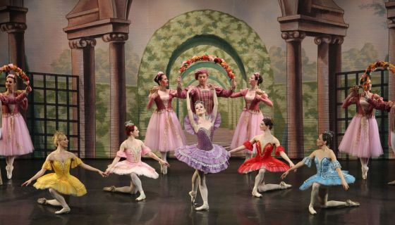 Балет «Спящая красавица», Муром