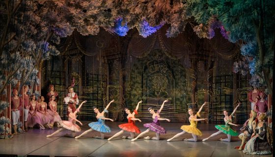 Балет «Спящая красавица», Муром