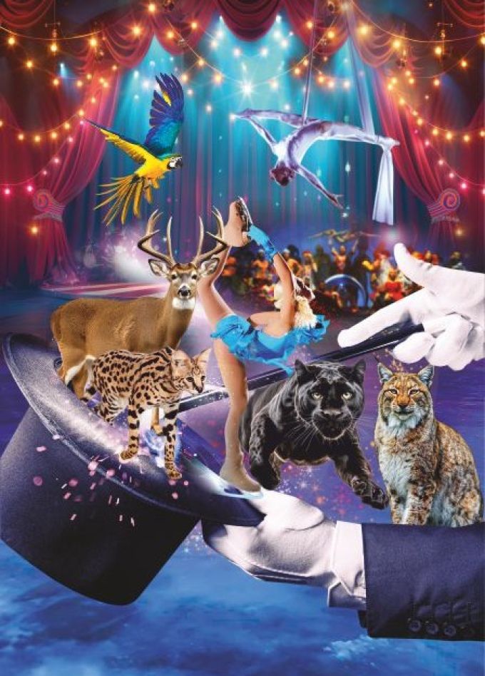 Цирк-шапито на льду, Ковров