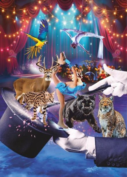 Цирк-шапито на льду, Ковров