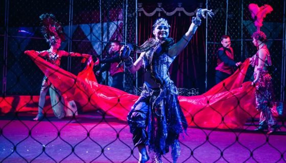 Цирк-шапито «Circusland». Шоу «Хищник и принцесса цирка»