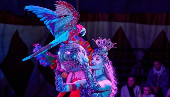 Цирк-шапито «Circusland». Шоу «Хищник и принцесса цирка»