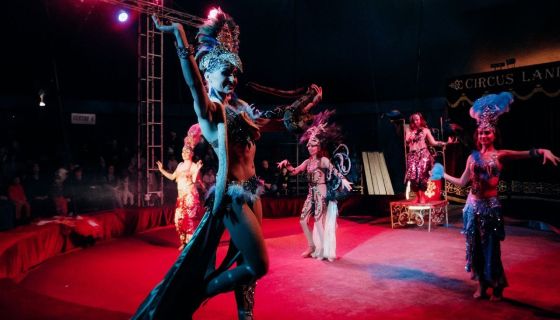 Цирк-шапито «Circusland». Хищное шоу, Муром