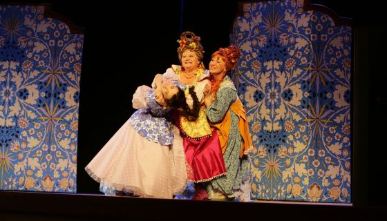 Спектакль «Не в свои сани не садись», Ковров