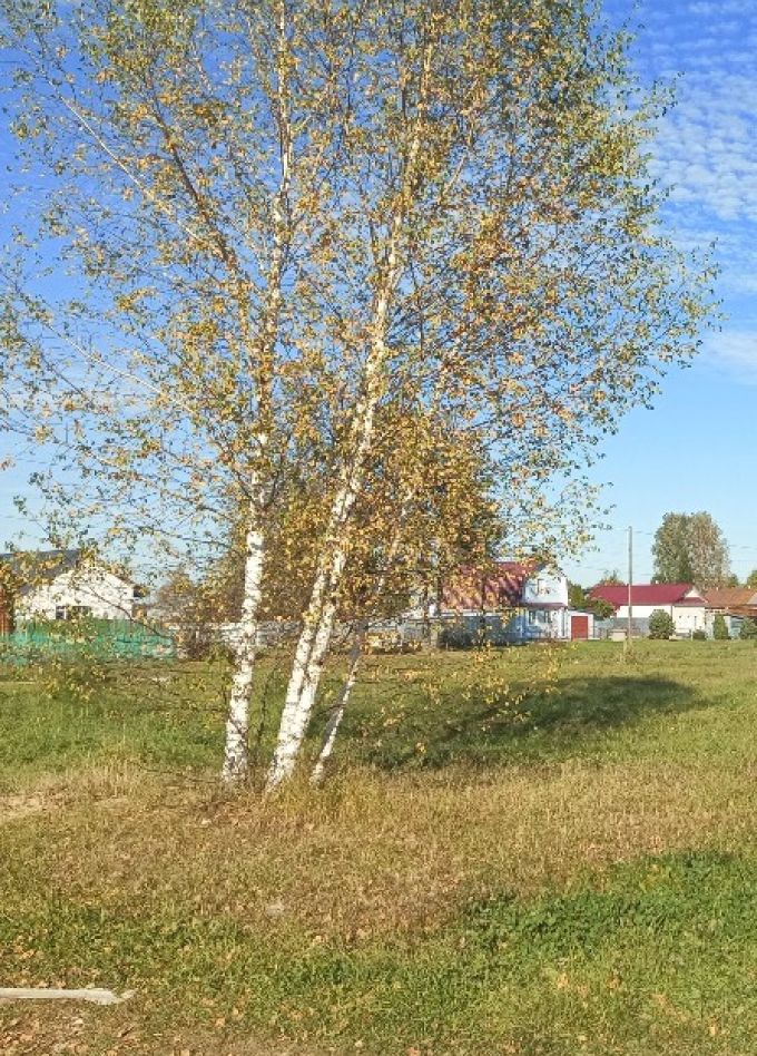 Краеведческий час «Малая Родина»