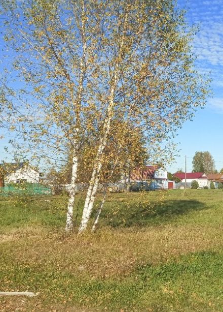Краеведческий час «Малая Родина»