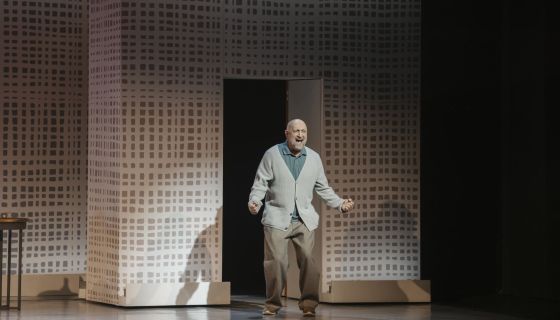 Спектакль «Высокие отношения»