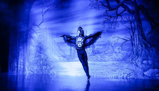 Балет «Лебединое озеро»