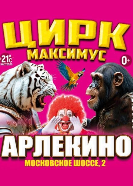 Цирк «Максимус». Шоу «Арлекино»