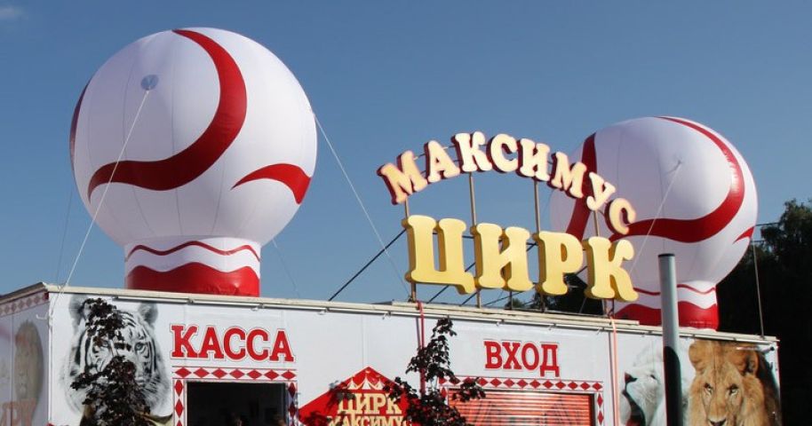 Цирк смоленск 2024 март